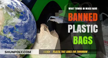 Massachusetts Towns Leading the Way: Plastic Bag Bans in Effect