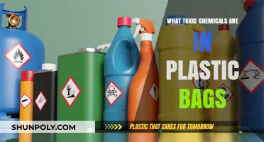 Unseen Dangers: Toxic Chemicals Lurking in Everyday Plastic Bags