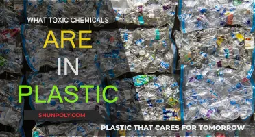 Toxic Truth: Chemicals Lurking in Plastics