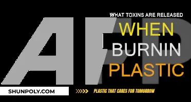 Toxic Truth: Plastics Release Harmful Toxins When Burned