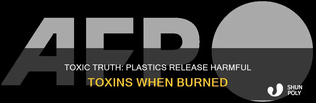 what toxins are released when burning plastic