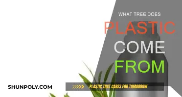 Trees and Plastic: What's the Connection?
