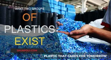 The Two Plastic Groups: Thermosets and Thermoplastics