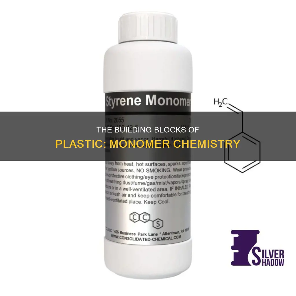 what tyoe of monomer creates plastic