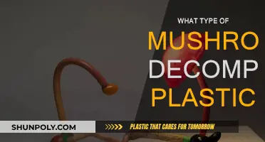 Mushroom Power: Nature's Plastic Decomposers