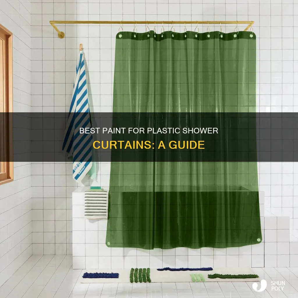 what type of paint on a plastic shower curtain