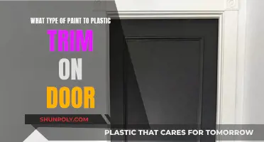 Best Paint Options for Plastic Door Trim