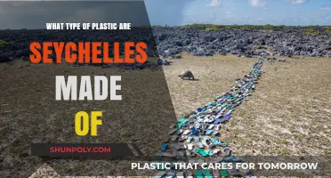 Unveiling the Plastic Composition of Seychelles' Products and Materials