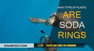 Plastic Soda Rings: Environmental Impact and Solutions