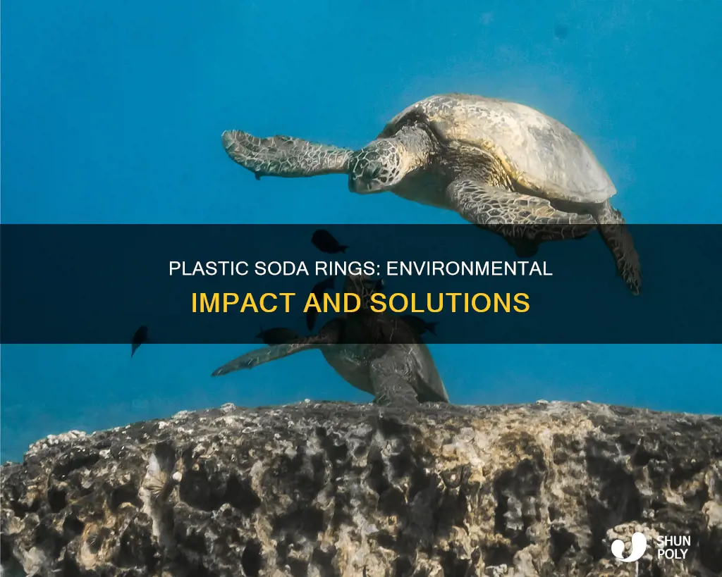 what type of plastic are soda rings
