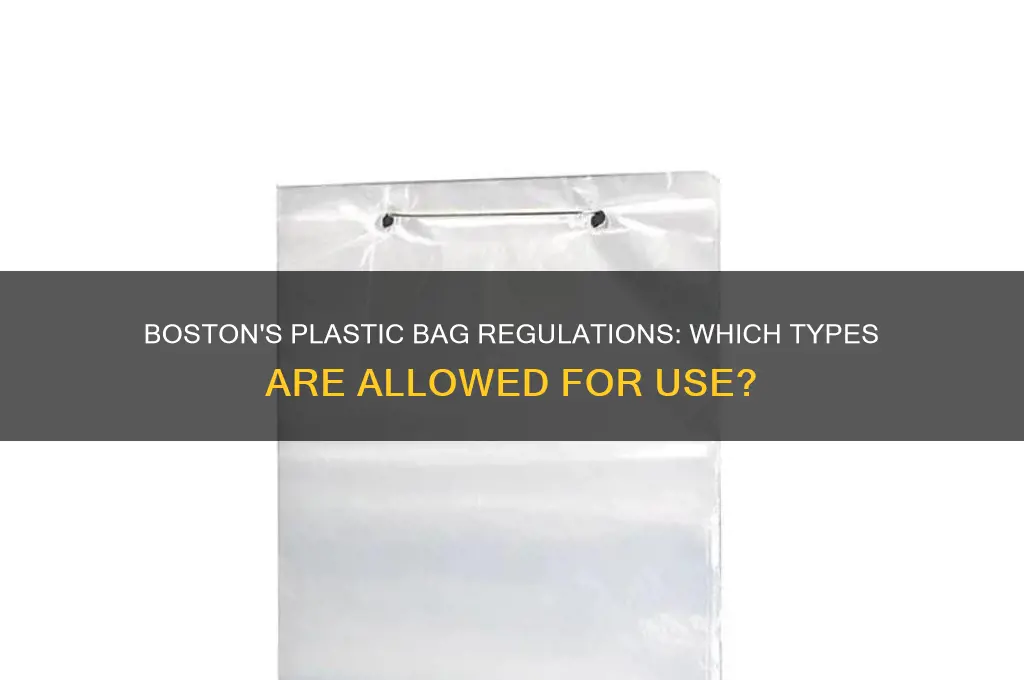 what type of plastic bag can i use in bostonma