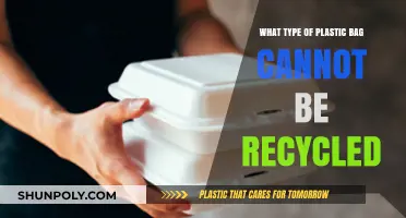 Unrecyclable Plastic Bags: Identifying Types That Harm Our Environment