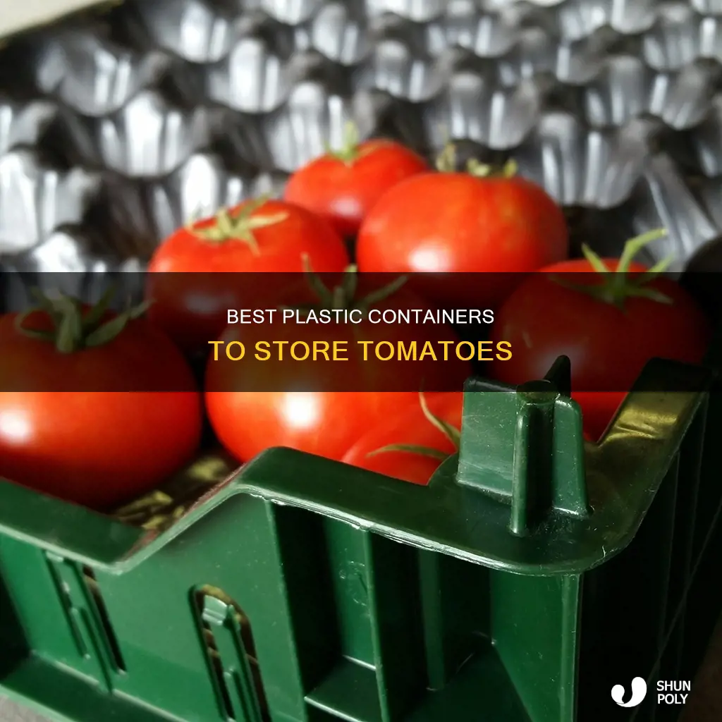 what type of plastic containers for tomato