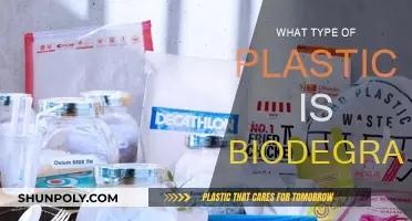 Biodegradable Plastics: What Types Are Truly Eco-Friendly?