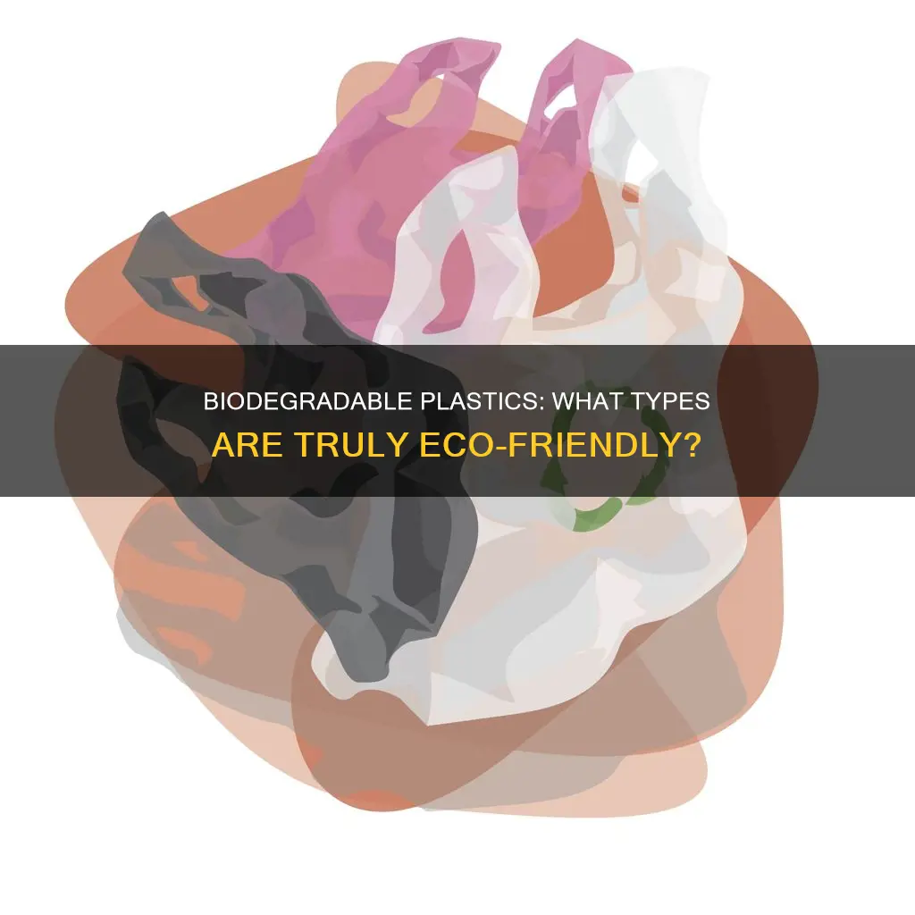 what type of plastic is biodegradable