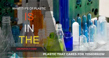 The Plastic Problem: What's in Our Oceans?