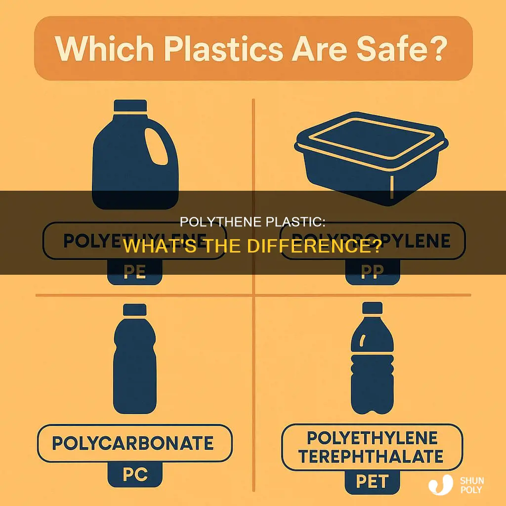 what type of plastic is polythene