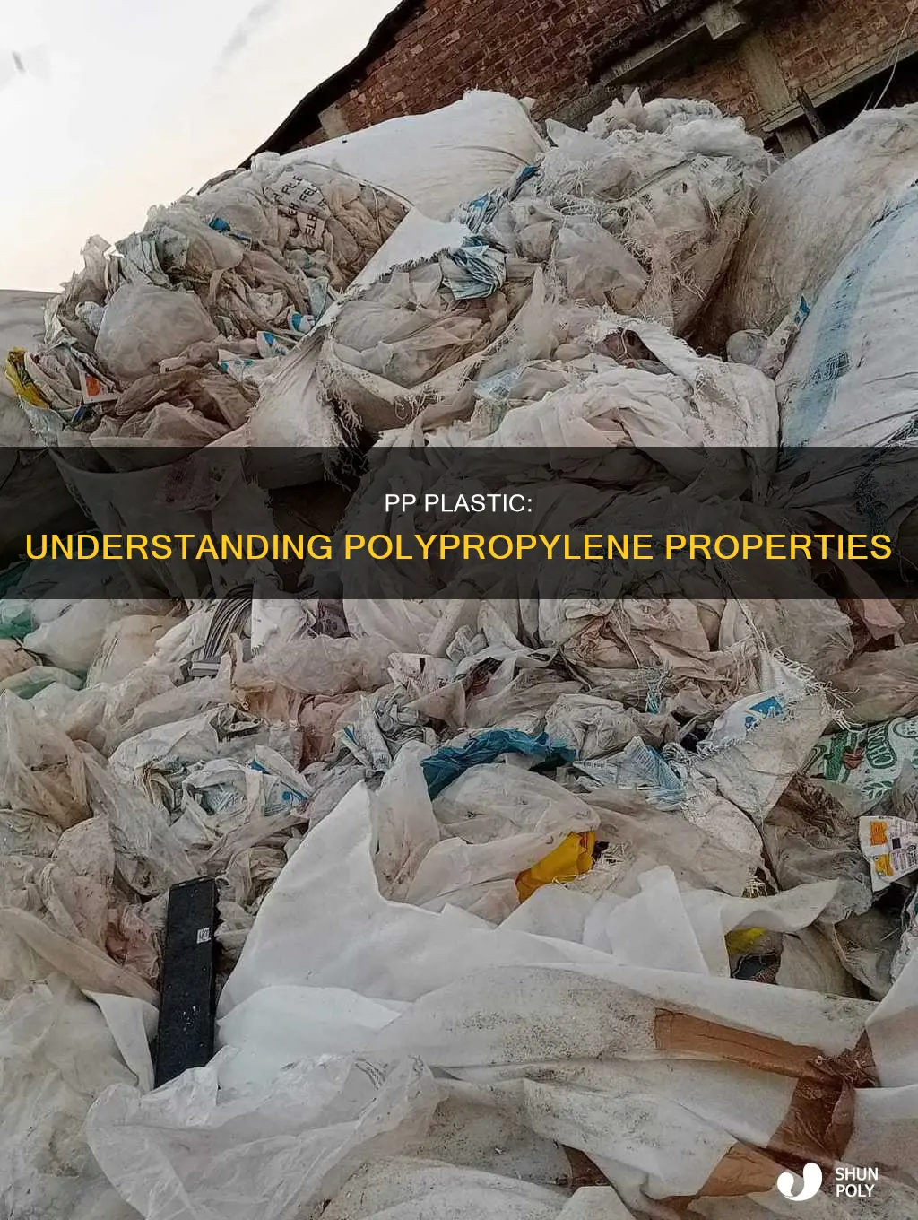 what type of plastic is pp