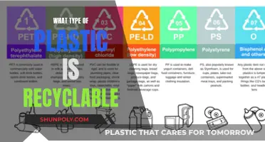 Understanding Plastic Recycling: A Guide to What's Recyclable