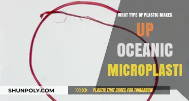 Unveiling the Primary Plastics Polluting Our Oceans as Microplastics