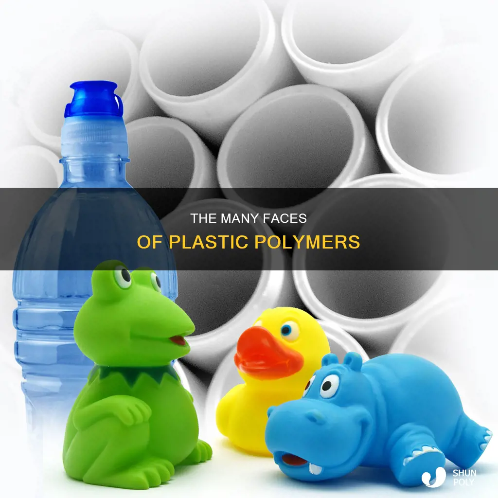 what type of polymer is plastic