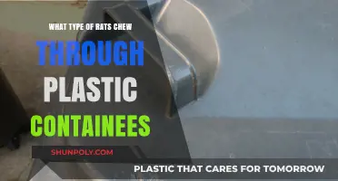 Plastic-Chewing Rats: Which Species are the Worst Offenders?