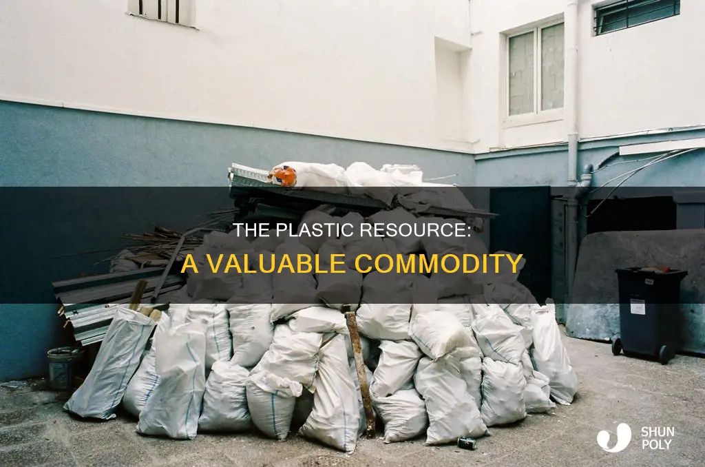 what type of resource is plastic