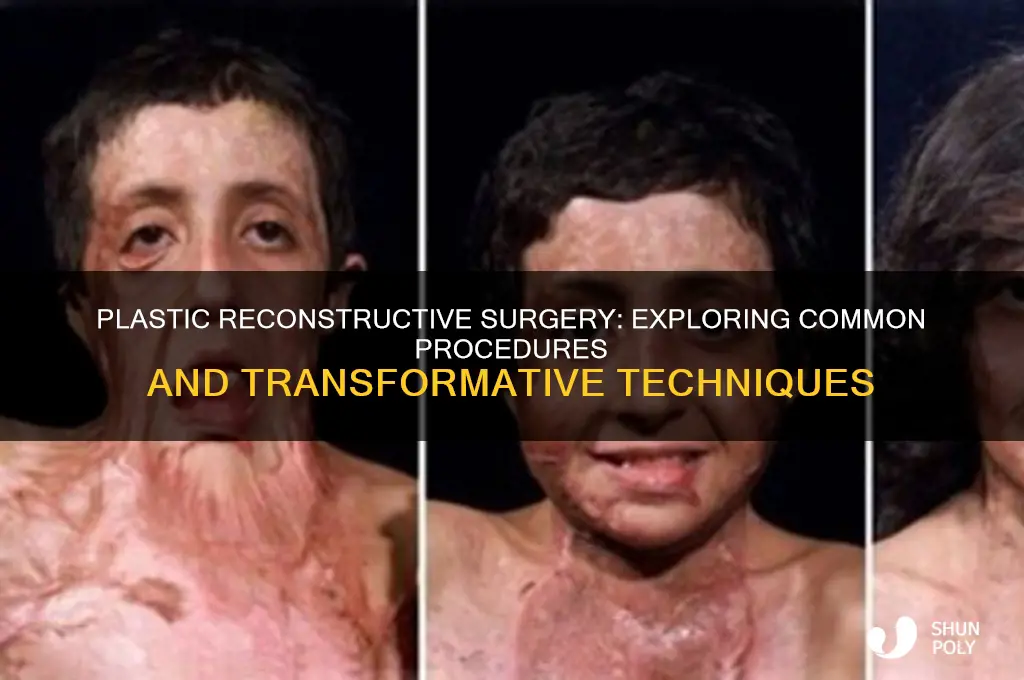 what type of srugeries do plastic reconstructive surgeons do