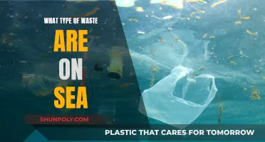 The Ocean's Trash: Understanding Marine Pollution