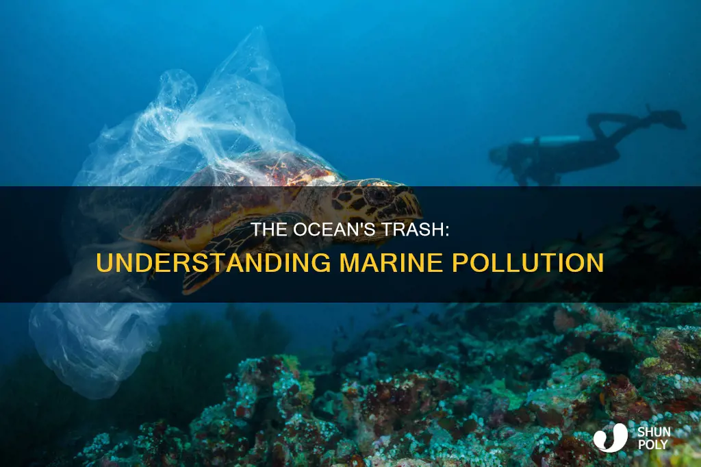 what type of waste are on sea