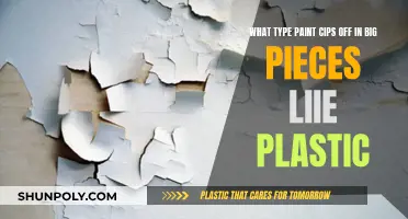 Paint Chips Off in Large Sheets Like Plastic