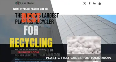 Recycling Plastics: What Types Are the Easiest to Recycle?
