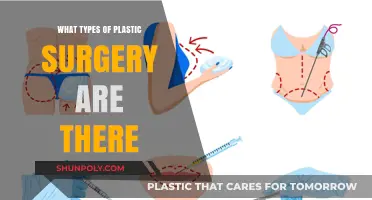 Exploring the Diverse World of Plastic Surgery Procedures and Types