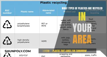Recycling Awareness: Know Your Local Plastic Recycling Types