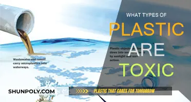 Toxic Plastics: Understanding the Different Types of Poisonous Plastics