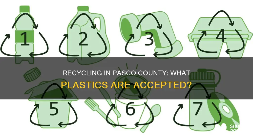 what types of plastics pasco county recycle items