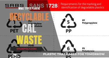Recycling Plastics: Understanding Different Types for Effective Waste Management