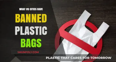 Cities Leading the Charge: U.S. Towns Banning Plastic Bags