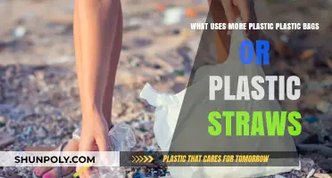 Plastic Bags vs. Straws: Which Contributes More to Waste?
