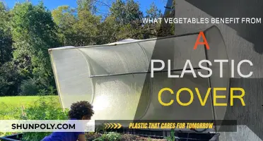 Greenhouse Gardening: Vegetables That Thrive Under Plastic Covers