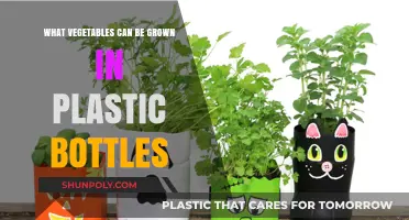 Eco-Friendly Gardening: Growing Vegetables in Plastic Bottles