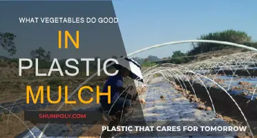 Plastic Mulch: Best Vegetables for Success