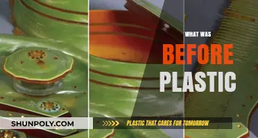 Unveiling the Past: A Journey Through Pre-Plastic Eras