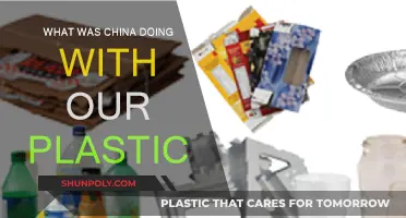 China's Plastic Recycling: Where Does it Go?