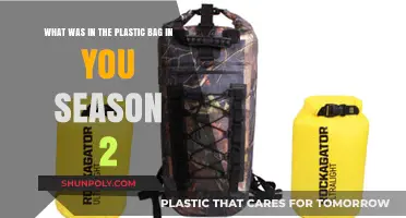 Unveiling the Mystery: You Season 2's Plastic Bag Secrets