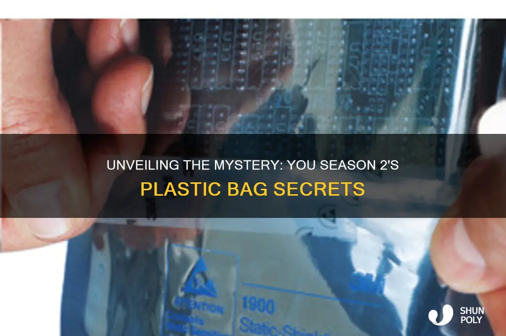 what was in the plastic bag in you season 2