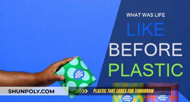 Life Before Plastic: A Simpler Time