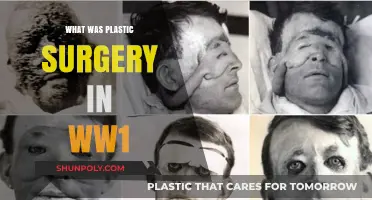 Pioneering Plastic Surgery: Transforming WW1 Soldiers' Lives and Faces