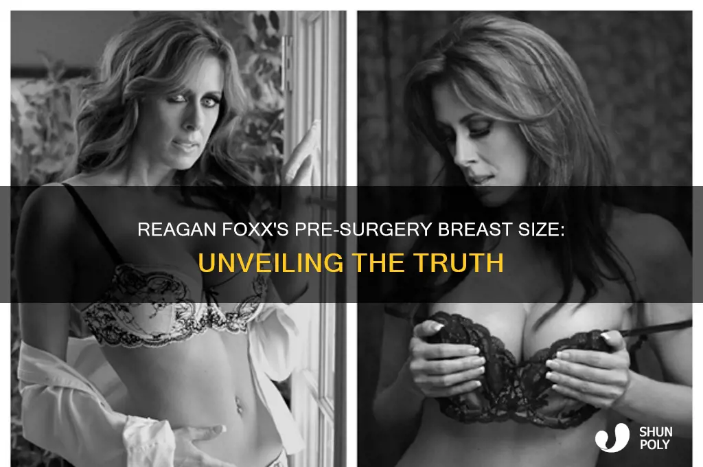 what was reagan foxx