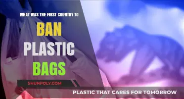 Pioneering Environmental Action: Which Country First Banned Plastic Bags?